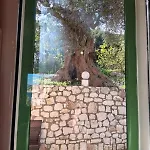Makris House-giasemi * Айя-Евфимия