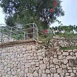 Makris House-giasemi *