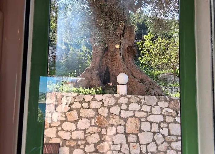 Makris House-giasemi * Айя-Евфимия